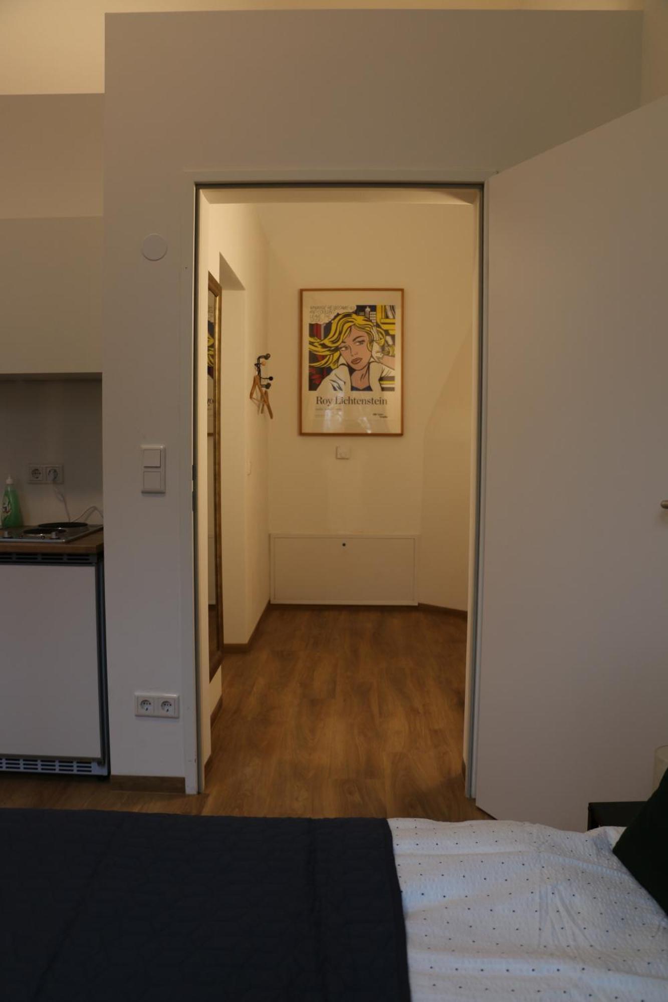 River View Apartment Wohnen Am Fluss Linz Exterior foto